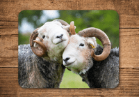 Herdwick Sheep Place Mats