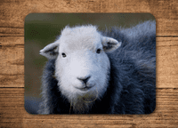 Herdwick Sheep Place Mats