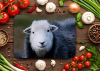 Herdwick Sheep Place Mats
