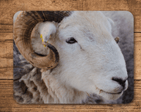 Herdwick Sheep Place Mats
