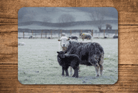 Herdwick Sheep Place Mats