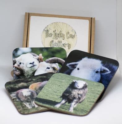Herdwick Sheep Wooden Coaster Sets