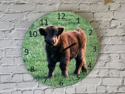 Highland Calf Battery Wall Clock