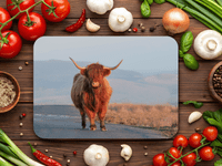 Highland Cattle Place Mats