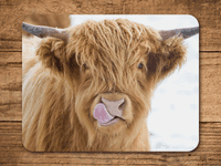 Highland Cattle Place Mats