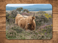 Highland Cattle Place Mats
