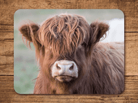 Highland Cattle Place Mats