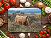 Highland Cattle Place Mats