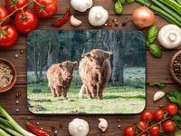 Highland Cattle Place Mats