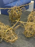 Highland Cow Willow Sculpture Full Day Workshop - BTO Thetford