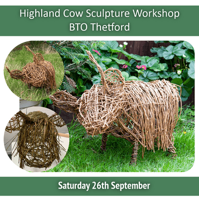 Highland Cow Willow Sculpture Full Day Workshop - BTO Thetford