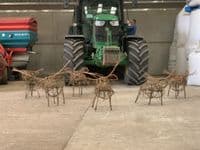 Highland Cow Willow Sculpture Full Day Workshop - High Lodge Thetford Forest