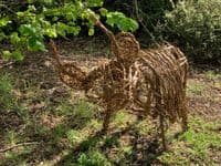 Highland Cow Willow Sculpture Full Day Workshop - High Lodge Thetford Forest