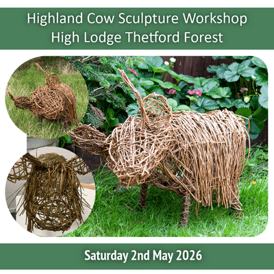 Highland Cow Willow Sculpture Full Day Workshop - High Lodge Thetford Forest