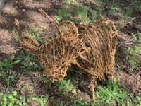 Highland Cow Willow Sculpture Full Day Workshop - Red Lodge Millennium Centre