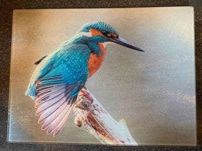 Kingfisher 'Wing Stretch' Glass Chopping Board Large Size Toughened Glass