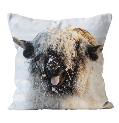 Laughing Blacknose - Valais Blacknose Sheep Linen Cushion