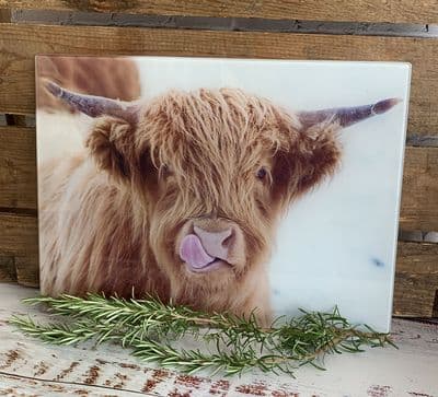 Licky Cow  Highland Cow Glass Chopping Board Large Size Toughened Glass