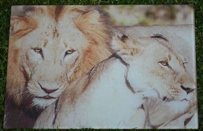Lions Glass Chopping Board Large Size Toughened Glass