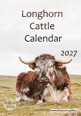 Longhorn Cattle Wall Calendar 2027