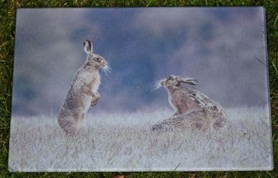 Mad April Hares Glass Chopping Board Large Size Toughened Glass