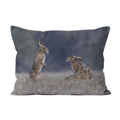 Mad April Hares Linen Cushion 19x13cm