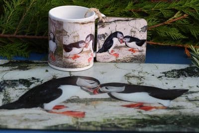 Puffin Pair Glass Chopping Board Large Toughened Glass