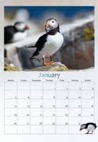 Puffin Wall Calendar 2026