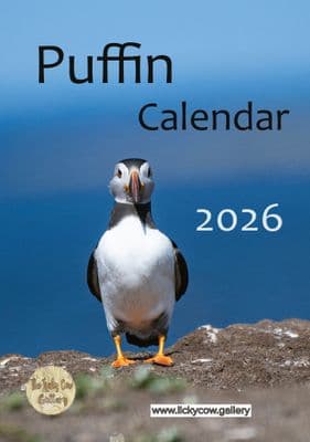 Puffin Wall Calendar 2026