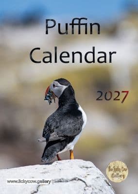Puffin Wall Calendar 2027