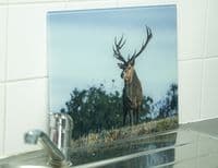Red Deer Stag Glass Chopping Board Large Size Toughened Glass