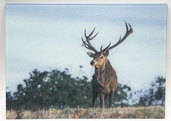 Red Deer Stag Glass Chopping Board Large Size Toughened Glass