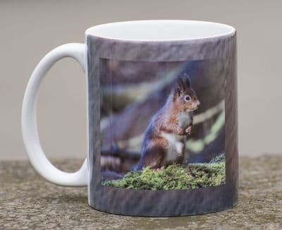 Red Squirrel Individually Printed Mug