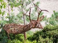 Reindeer Willow Sculpture Workshop BTO Thetford
