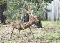 Reindeer Willow Sculpture Workshop BTO Thetford