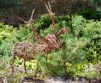 Reindeer Willow Sculpture Workshop BTO Thetford
