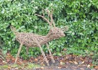 Reindeer Willow Sculpture Workshop BTO Thetford