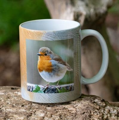 Robin Ceramic Mug