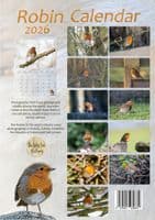Robin Wall Calendar 2026