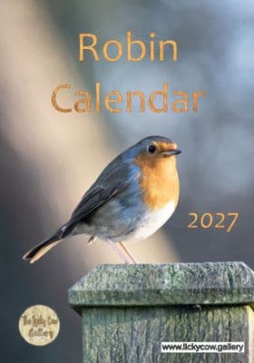Robin Wall Calendar 2027