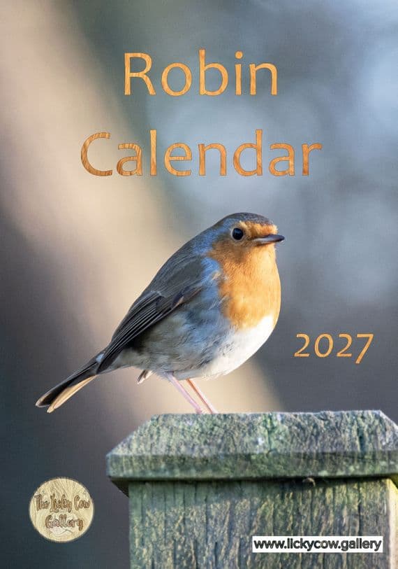 Robin Wall Calendar 2027