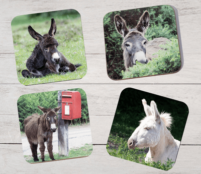 Set of Four Donkey Coasters