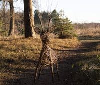 Stag Willow Sculpture Workshop British Trust for Ornithology Thetford
