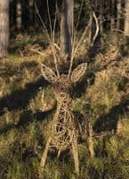 Stag Willow Sculpture Workshop British Trust for Ornithology Thetford