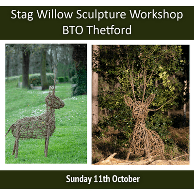 Stag Willow Sculpture Workshop British Trust for Ornithology Thetford
