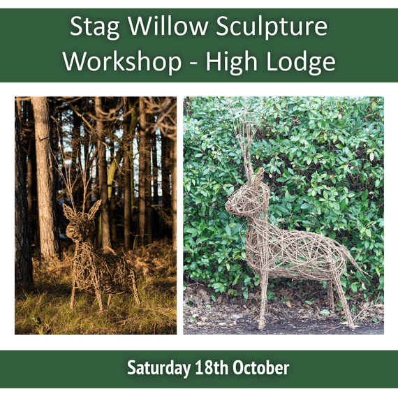 Stag Willow Sculpture Workshop  High Lodge Visitor Centre