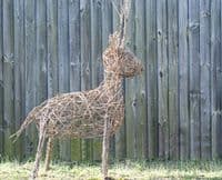 Stag Willow Sculpture Workshop Red Lodge Millennium Centre