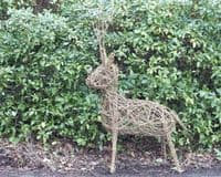 Stag Willow Sculpture Workshop Red Lodge Millennium Centre