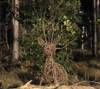 Stag Willow Sculpture Workshop Red Lodge Millennium Centre
