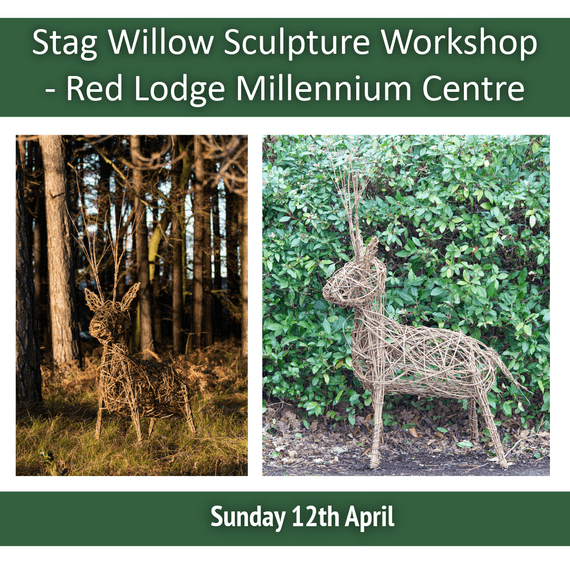 Stag Willow Sculpture Workshop Red Lodge Millennium Centre